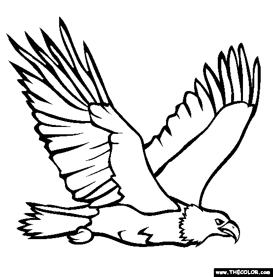 Eagle coloring pages - Bird coloring pages - animals coloring pages - #2