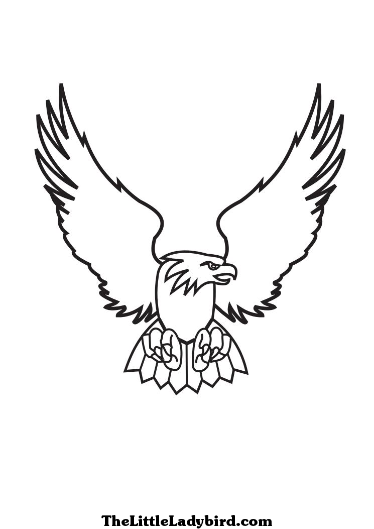  Eagle coloring pages – Bird coloring pages – animals coloring pages – #20