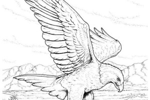 Eagle coloring pages - Bird coloring pages - animals coloring pages - #22