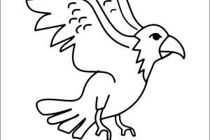 Eagle coloring pages - Bird coloring pages - animals coloring pages - #27