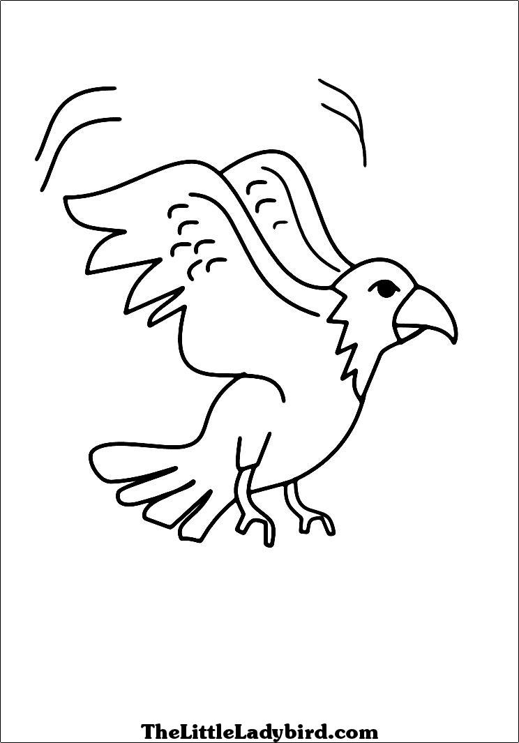  Eagle coloring pages – Bird coloring pages – animals coloring pages – #27