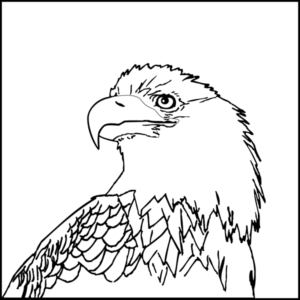  Eagle coloring pages – Bird coloring pages – animals coloring pages – #29