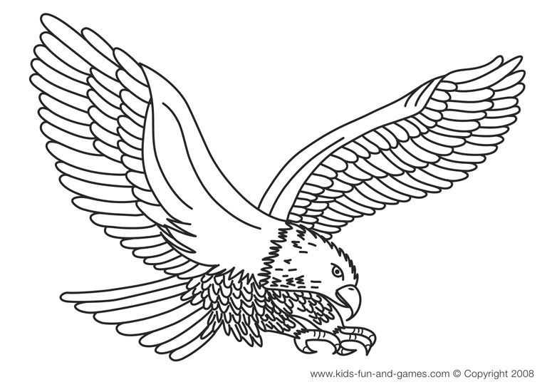  Eagle coloring pages – Bird coloring pages – animals coloring pages – #31