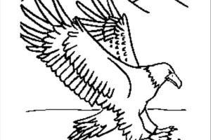 Eagle coloring pages - Bird coloring pages - animals coloring pages - #33