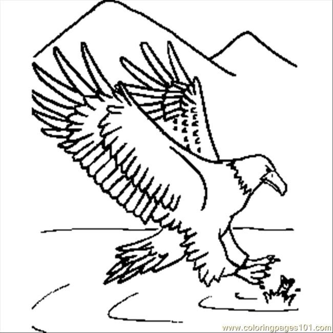  Eagle coloring pages – Bird coloring pages – animals coloring pages – #33