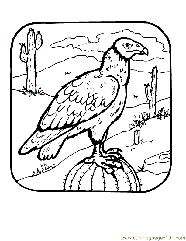 Eagle coloring pages - Bird coloring pages - animals coloring pages - #34