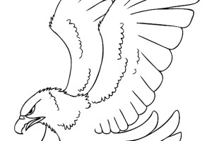 Eagle coloring pages - Bird coloring pages - animals coloring pages - #35