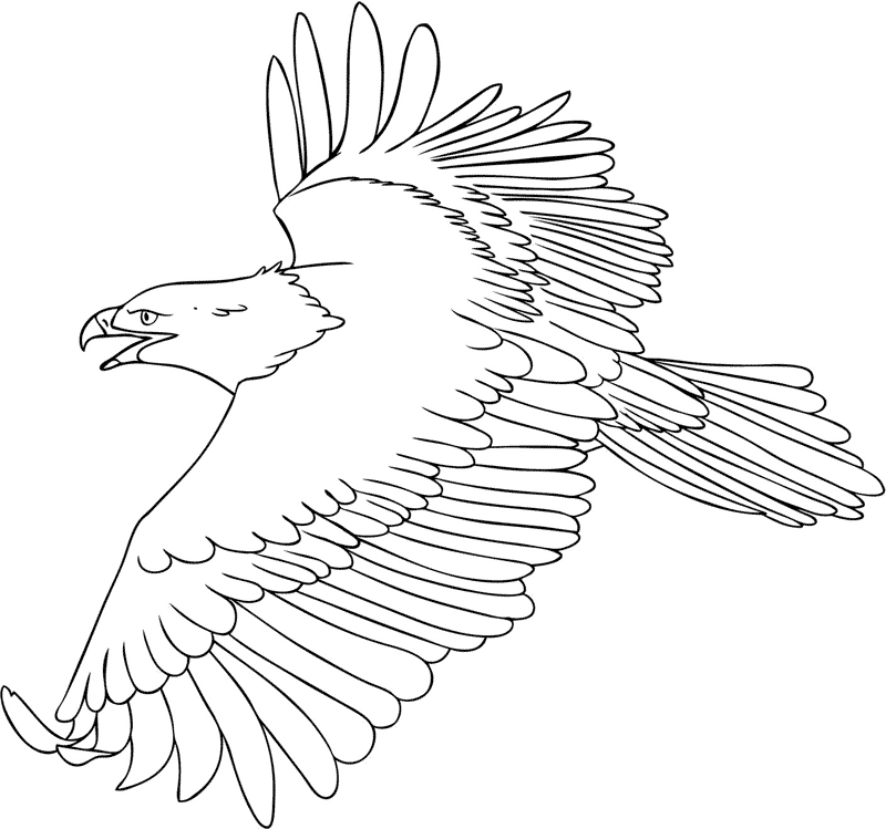 Eagle coloring pages - Bird coloring pages - animals coloring pages - #36