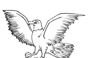 Eagle coloring pages - Bird coloring pages - animals coloring pages - #37