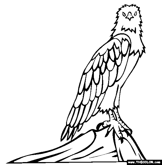 Eagle coloring pages - Bird coloring pages - animals coloring pages - #38