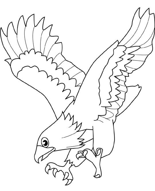 Eagle coloring pages - Bird coloring pages - animals coloring pages - #40