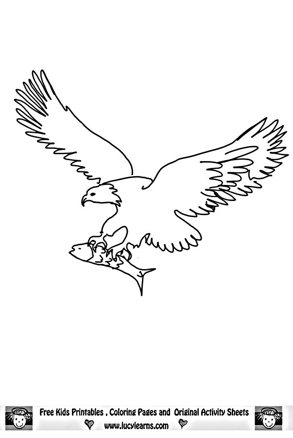 Eagle coloring pages - Bird coloring pages - animals coloring pages - #5