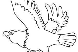 Eagle coloring pages - Bird coloring pages - animals coloring pages - #6