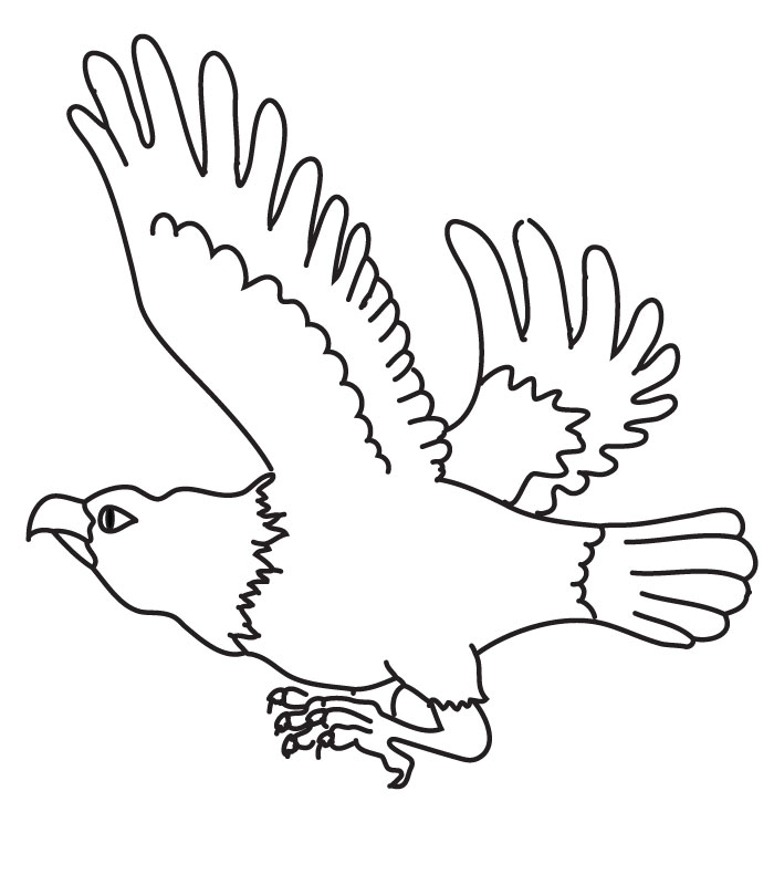  Eagle coloring pages – Bird coloring pages – animals coloring pages – #6