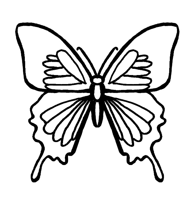 Butterfly coloring pages | Butterfly coloring pages for kids | #1