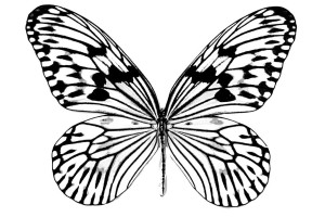 Butterfly coloring pages | Butterfly coloring pages for kids | #11