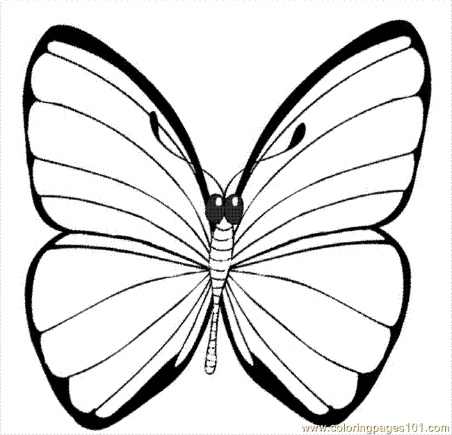 Butterfly coloring pages | Butterfly coloring pages for kids | #13