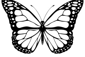 Butterfly coloring pages | Butterfly coloring pages for kids | #14