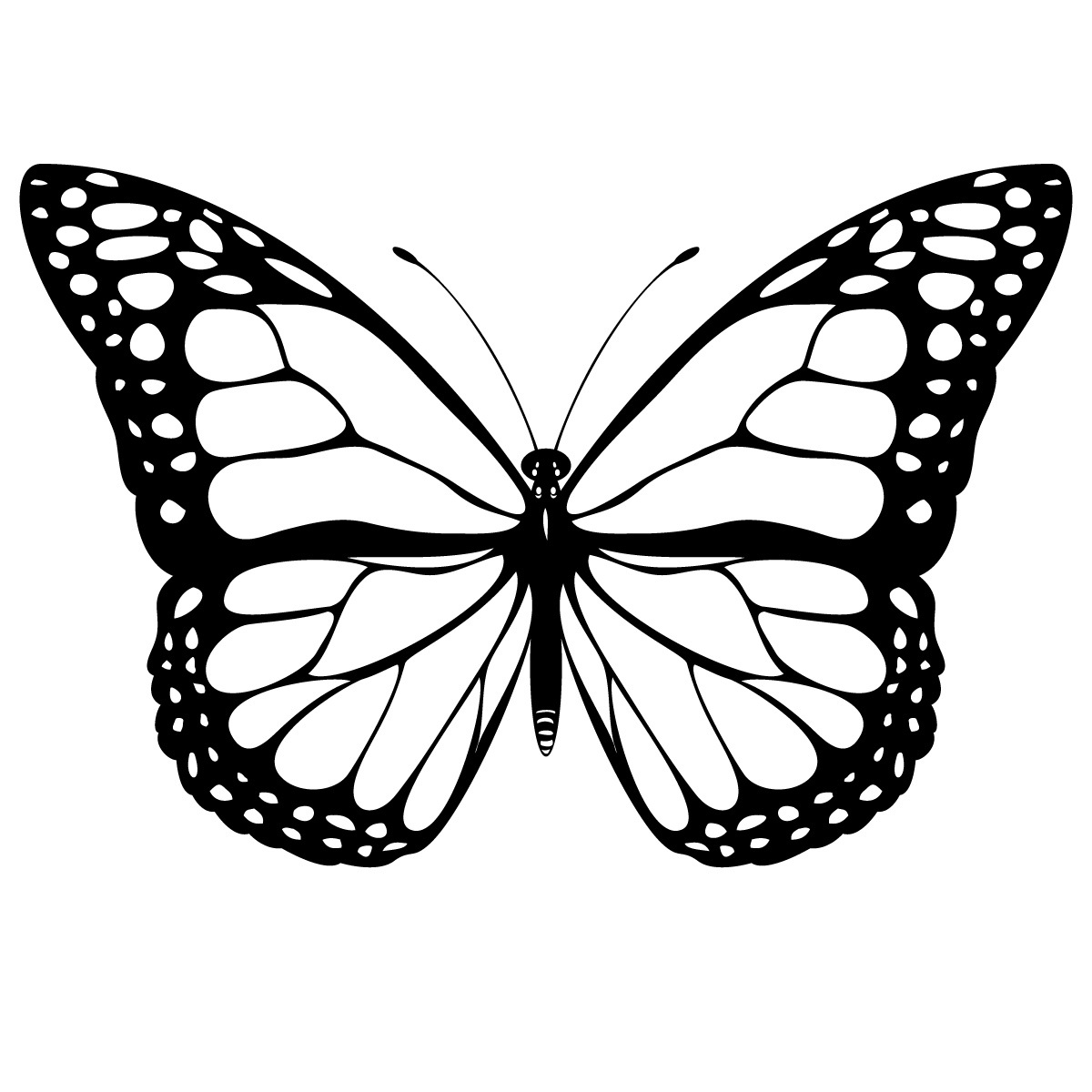  Butterfly coloring pages | Butterfly coloring pages for kids | #14