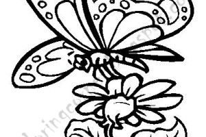 Butterfly coloring pages | Butterfly coloring pages for kids | #16
