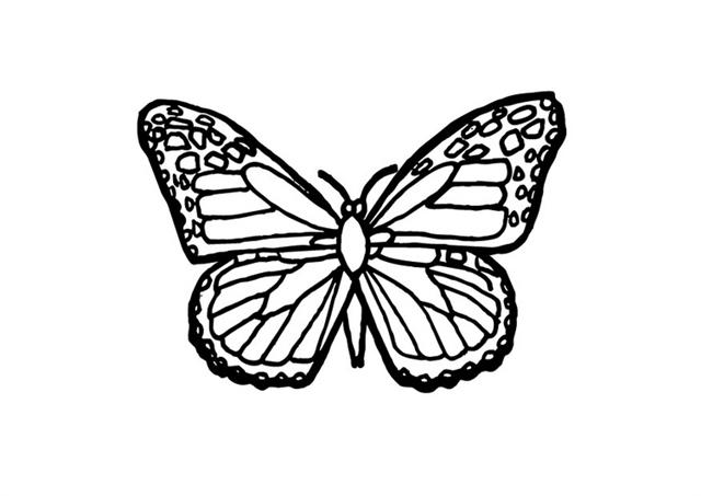  Butterfly coloring pages | Butterfly coloring pages for kids | #17