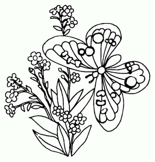Butterfly coloring pages | Butterfly coloring pages for kids | #20