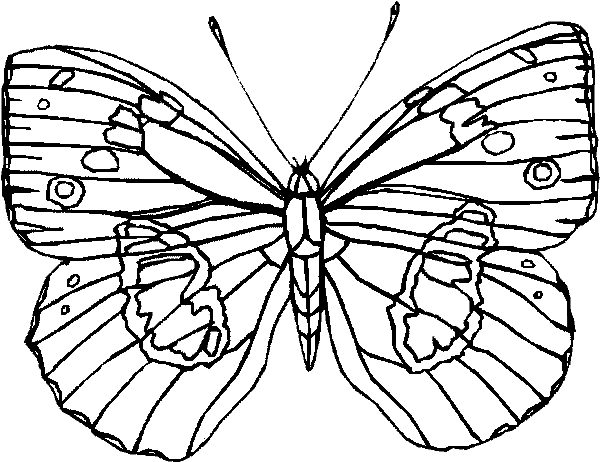  Butterfly coloring pages | Butterfly coloring pages for kids | #24