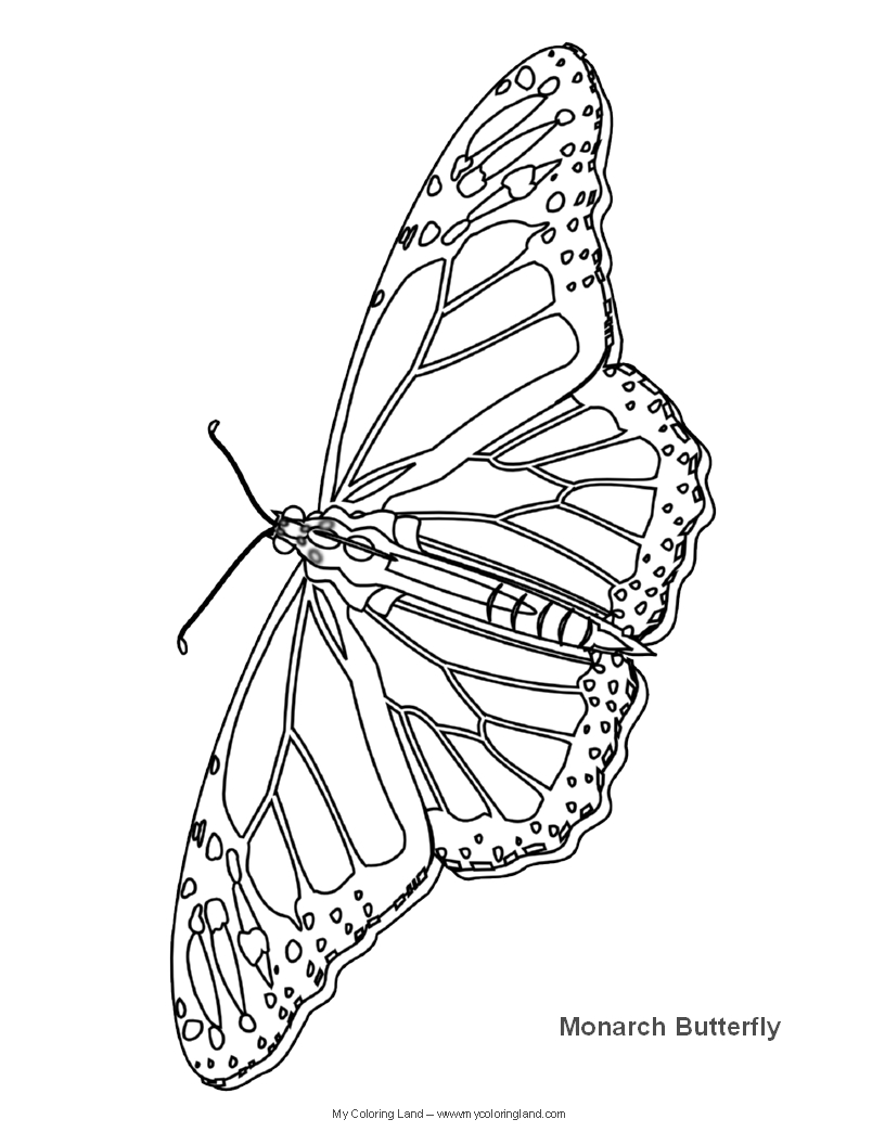  Butterfly coloring pages | Butterfly coloring pages for kids | #25