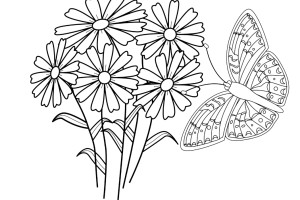 Butterfly coloring pages | Butterfly coloring pages for kids | #28