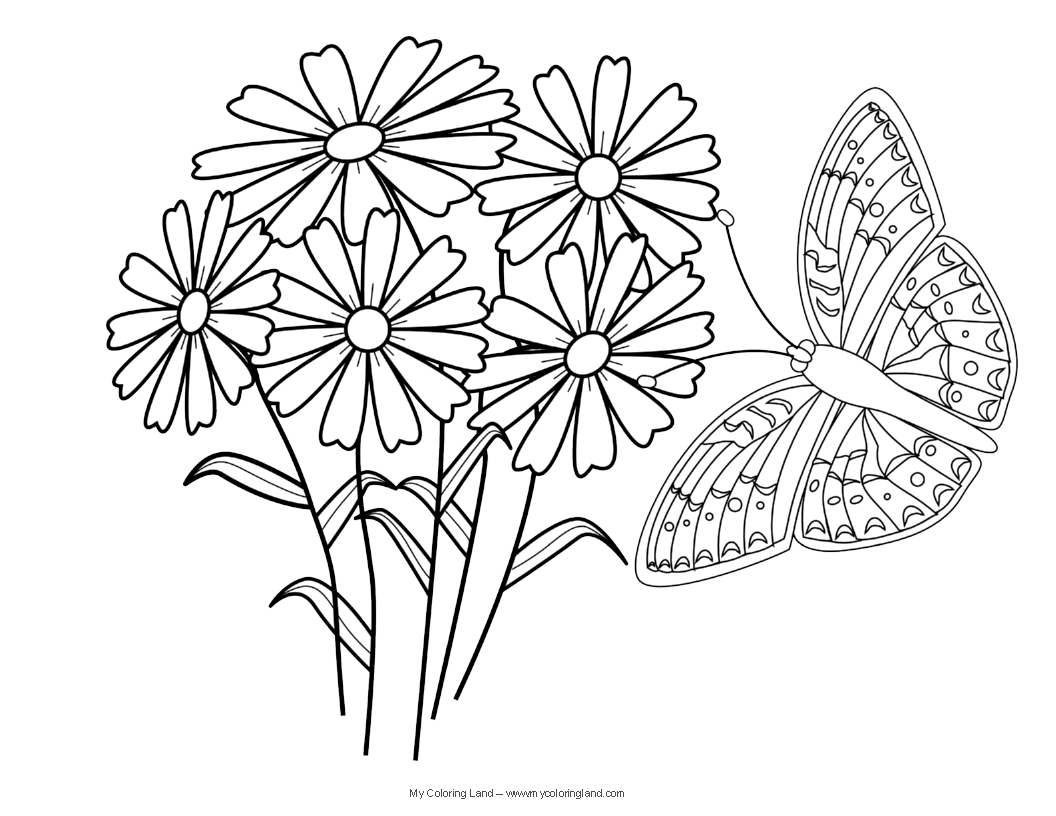  Butterfly coloring pages | Butterfly coloring pages for kids | #28