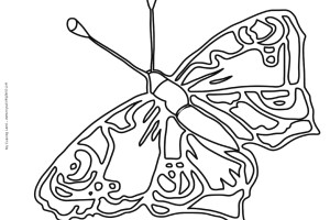Butterfly coloring pages | Butterfly coloring pages for kids | #3