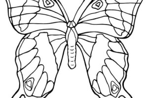 Butterfly coloring pages | Butterfly coloring pages for kids | #32
