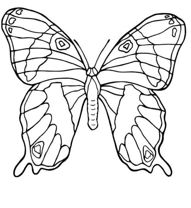  Butterfly coloring pages | Butterfly coloring pages for kids | #32