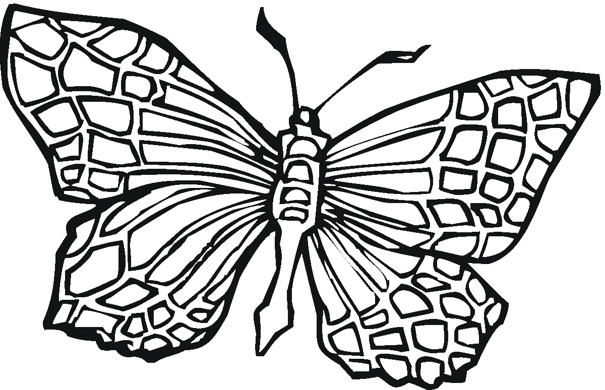 Butterfly coloring pages | Butterfly coloring pages for kids | #37