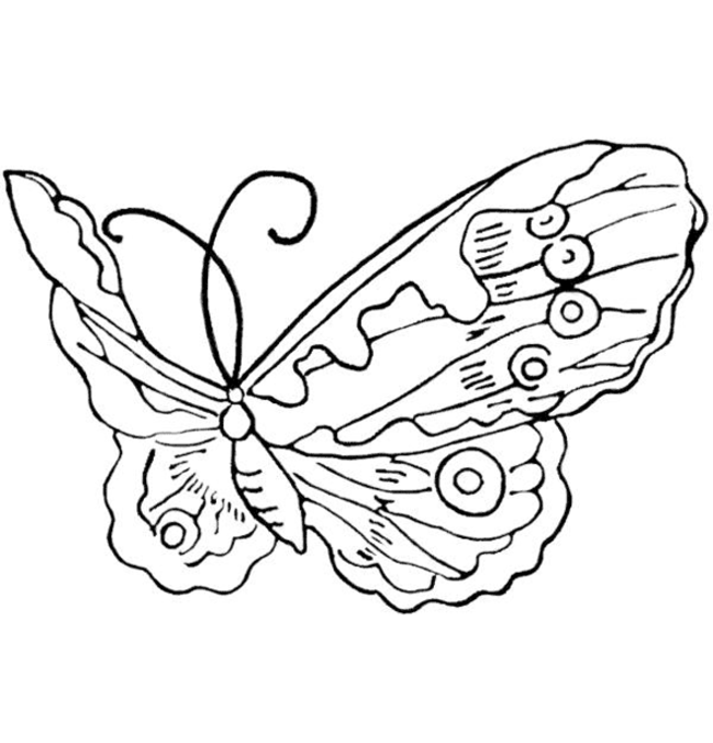 Butterfly coloring pages | Butterfly coloring pages for kids | #7