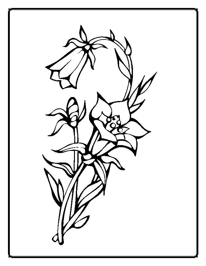  Flowers coloring pages | color printing | Flower | Coloring pages free | #1