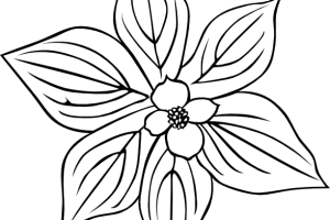 Flowers coloring pages | color printing | Flower | Coloring pages free | #11