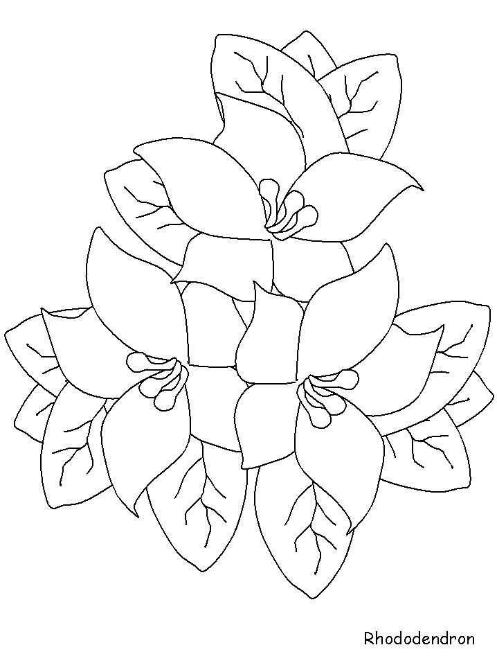 Flowers coloring pages | color printing | Flower | Coloring pages free | #13