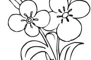 Flowers coloring pages | color printing | Flower | Coloring pages free | #15