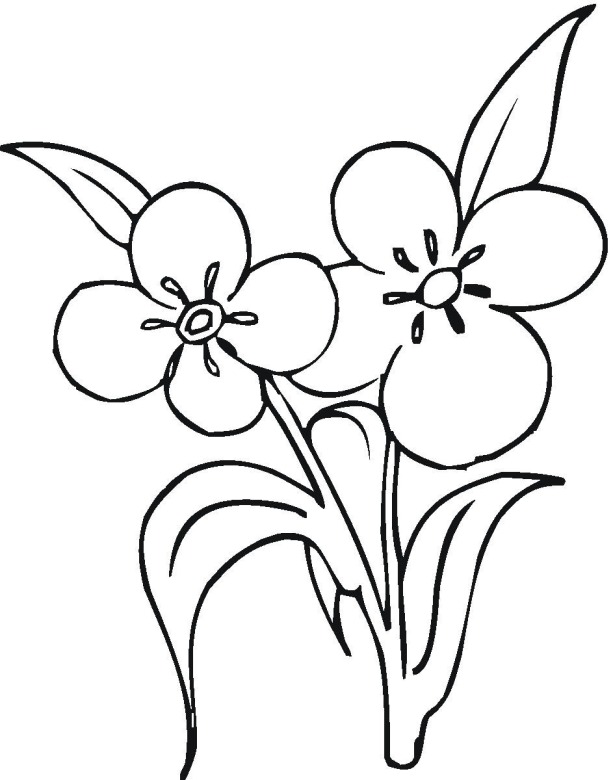  Flowers coloring pages | color printing | Flower | Coloring pages free | #15