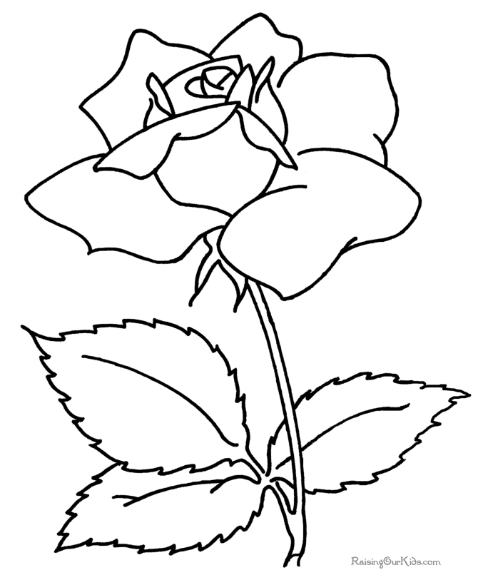 Flowers coloring pages | color printing | Flower | Coloring pages free | #20
