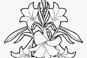 Flowers coloring pages | color printing | Flower | Coloring pages free | #21
