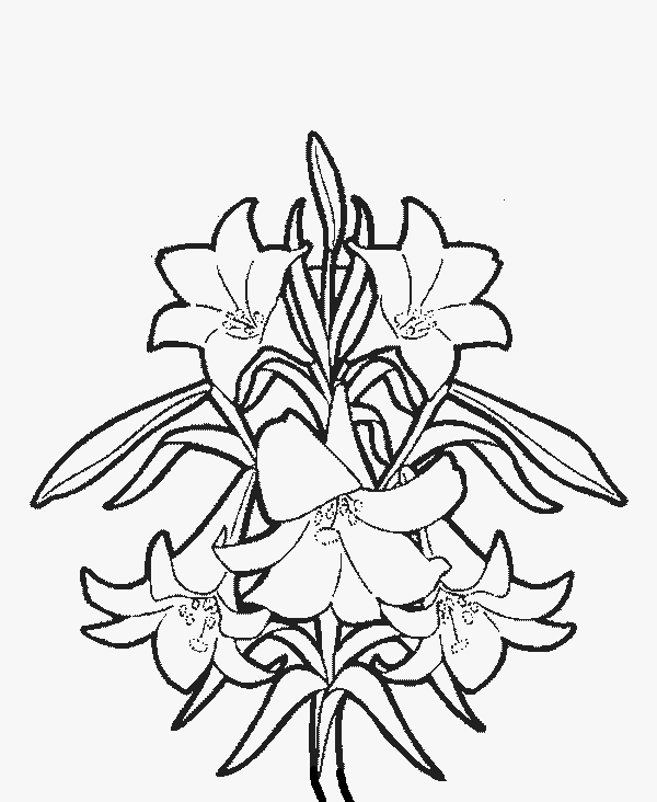  Flowers coloring pages | color printing | Flower | Coloring pages free | #21
