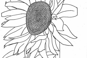 Flowers coloring pages | color printing | Flower | Coloring pages free | #31