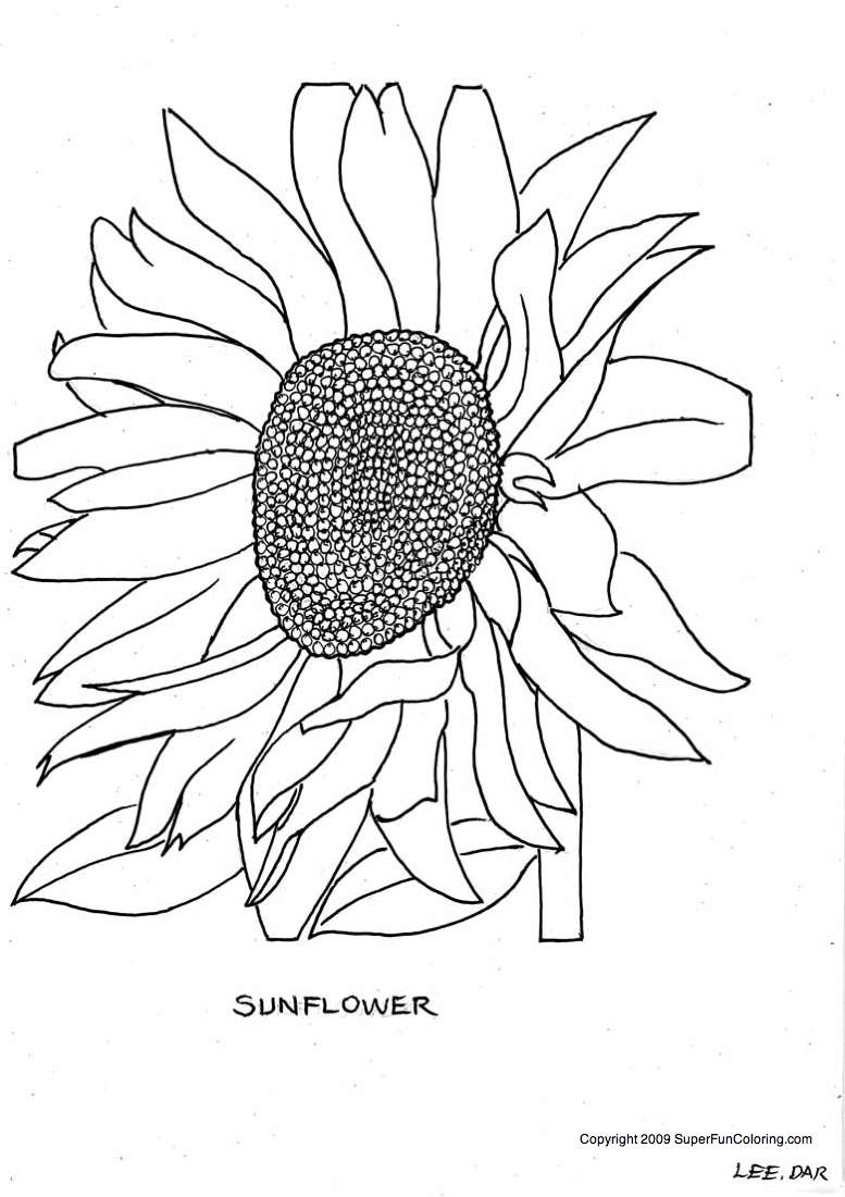  Flowers coloring pages | color printing | Flower | Coloring pages free | #31