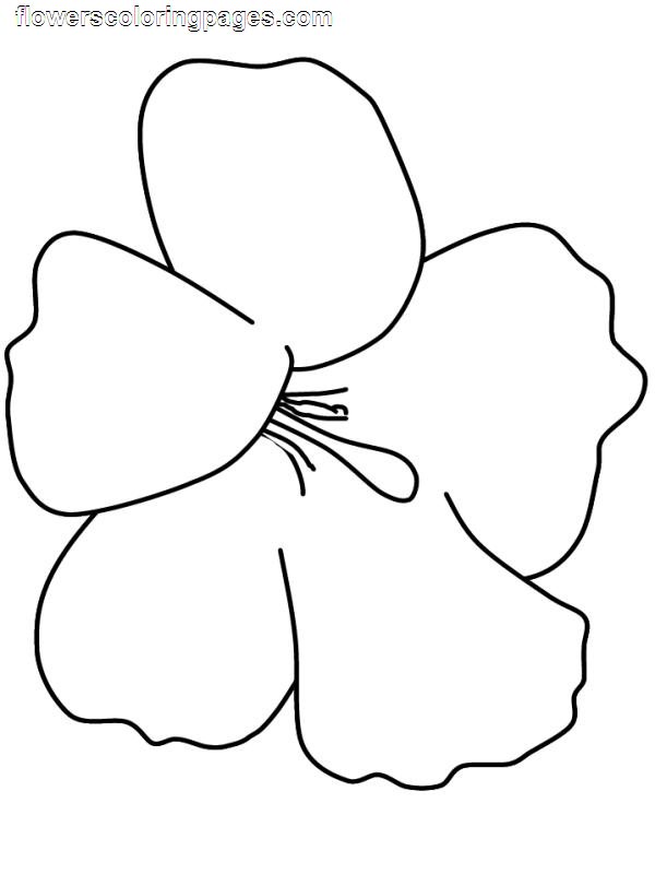  Flowers coloring pages | color printing | Flower | Coloring pages free | #32