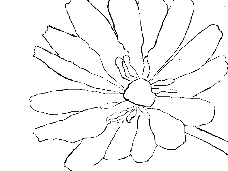 Flowers coloring pages | color printing | Flower | Coloring pages free | #35