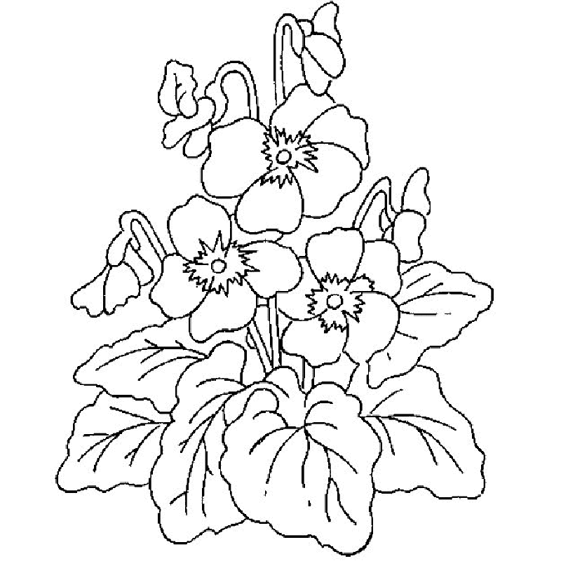 Flowers coloring pages | color printing | Flower | Coloring pages free | #36