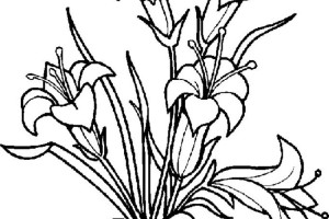 Flowers coloring pages | color printing | Flower | Coloring pages free | #38