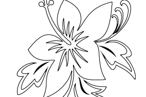 Flowers coloring pages | color printing | Flower | Coloring pages free | #47